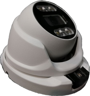 دوربین مداربسته تحت شبکه تورت ( دام ) 5 مگاپیکسل فلزی تام TAM مدل IPT-550D